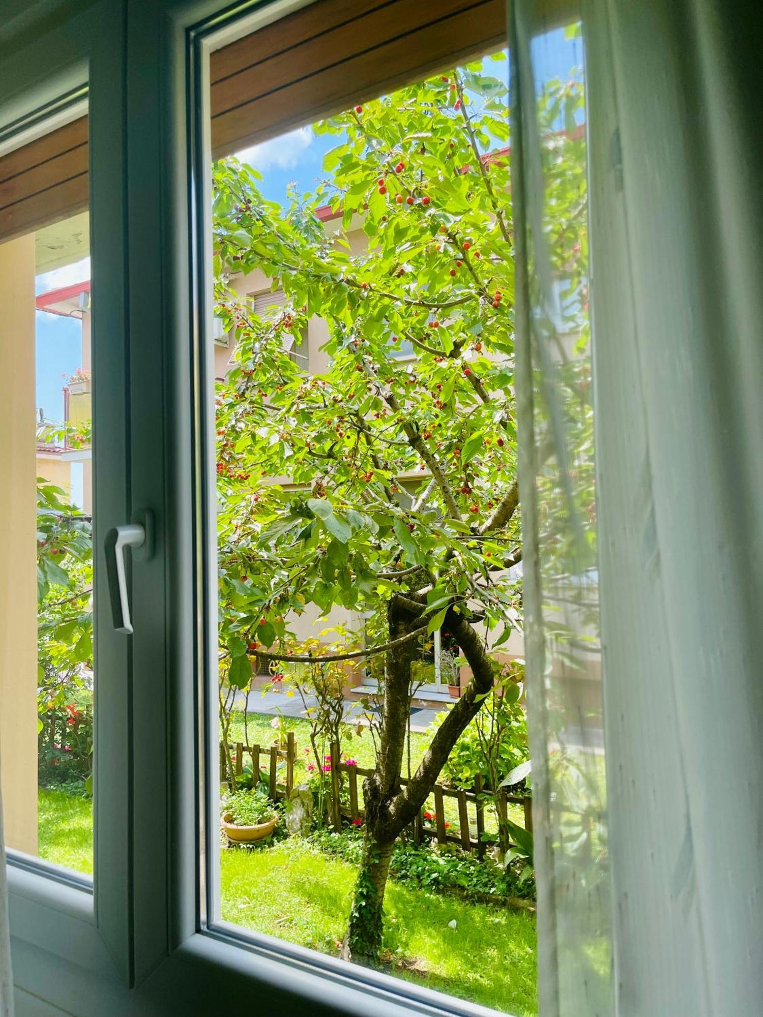 Le Rose Appartement Triëst Buitenkant foto